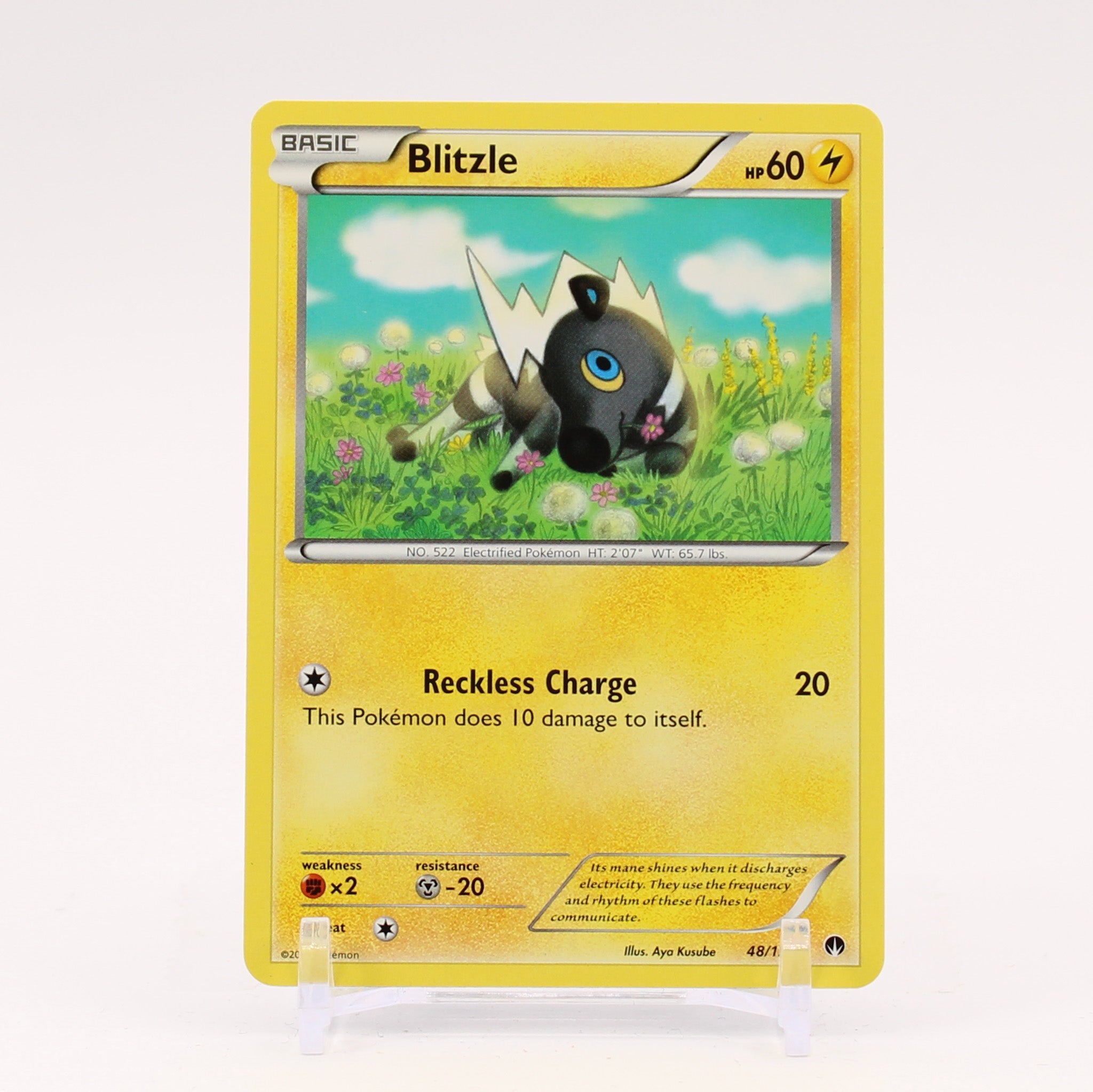 Blitzle - 48/122 BREAKPoint Pokemon - NM