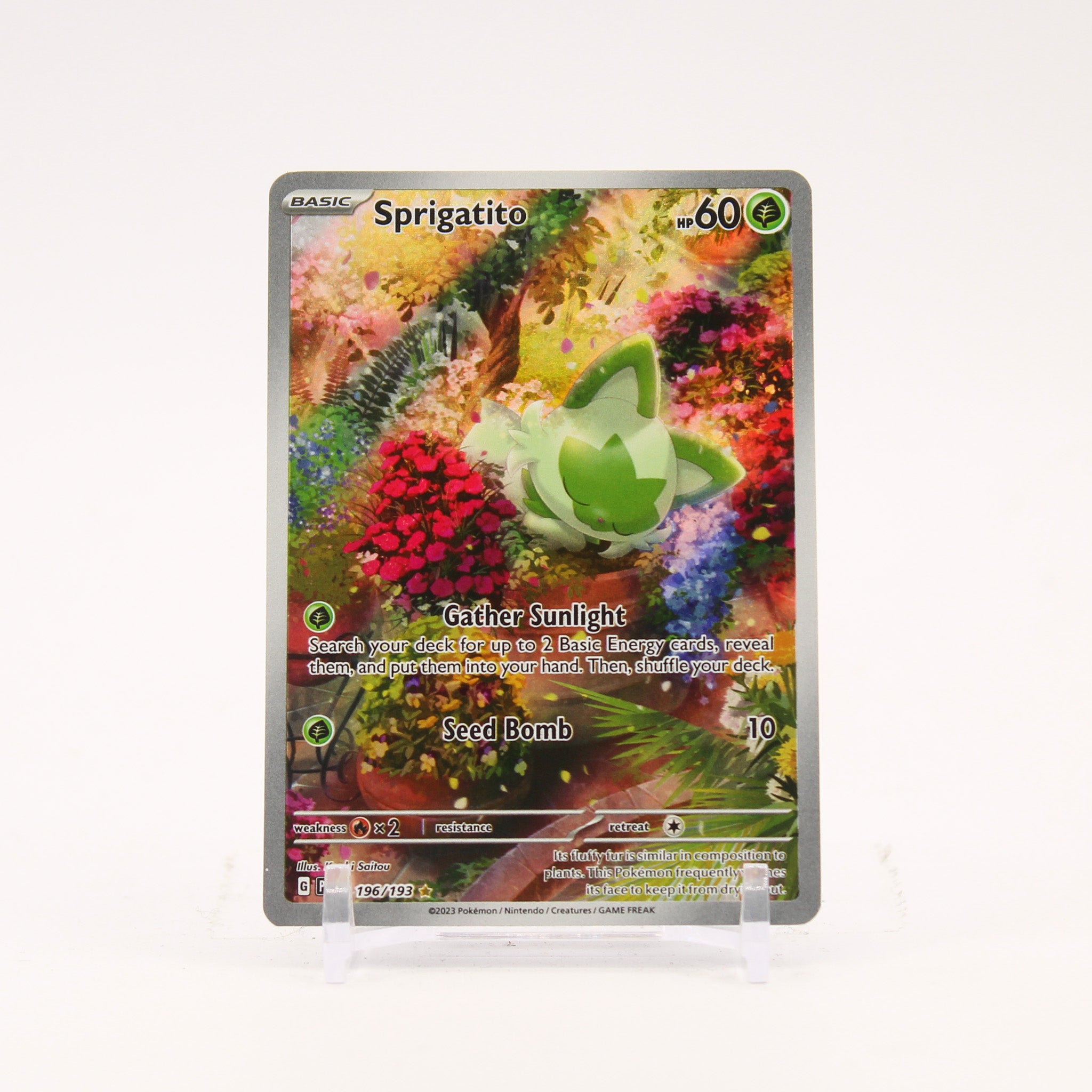 Sprigatito - 196/193 Paldea Evolved Illustration Rare Pokemon - NM/LP