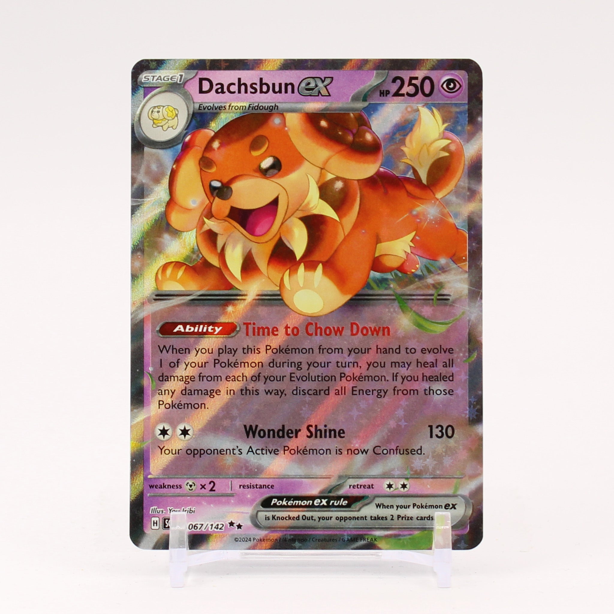 Dachsbun ex - 067/142 Stellar Crown Double Rare Pokemon - NM/MINT