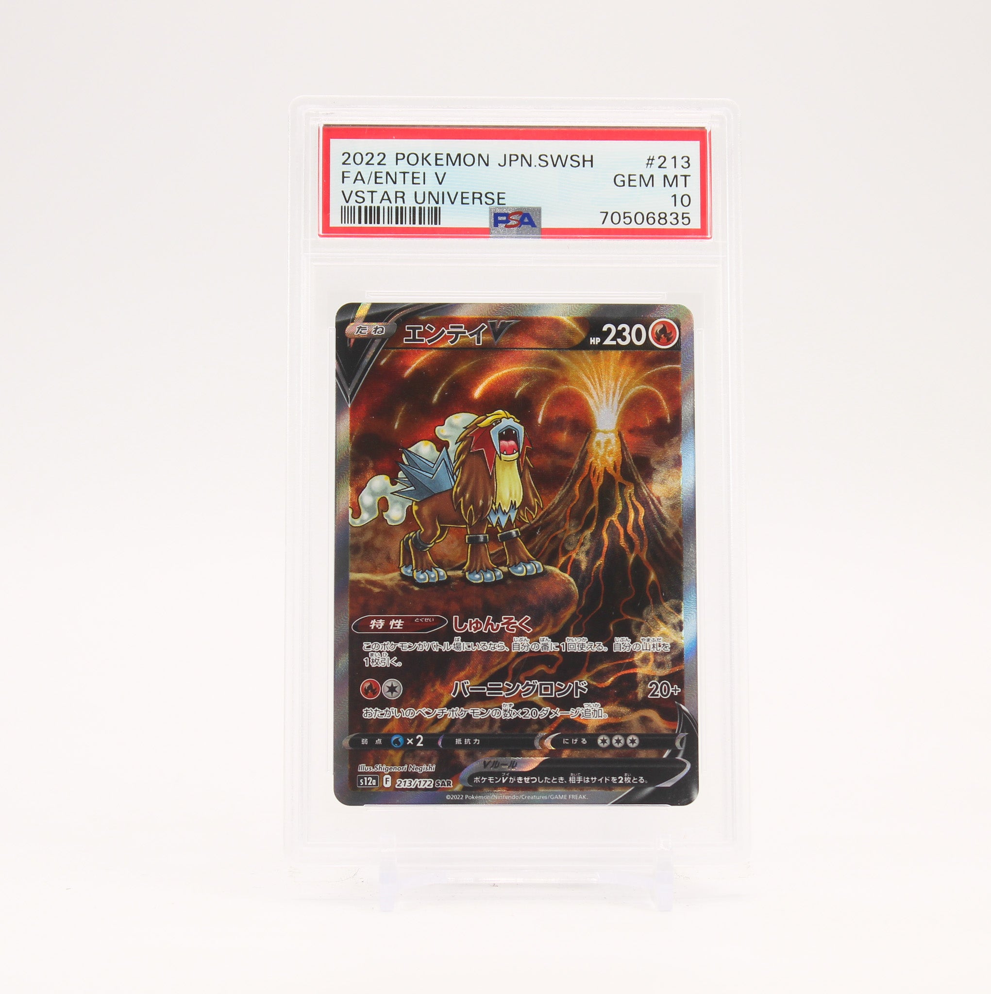 Entei V - 213/172 PSA 10 S12a Vstar Universe SAR Pokemon - GEM MT