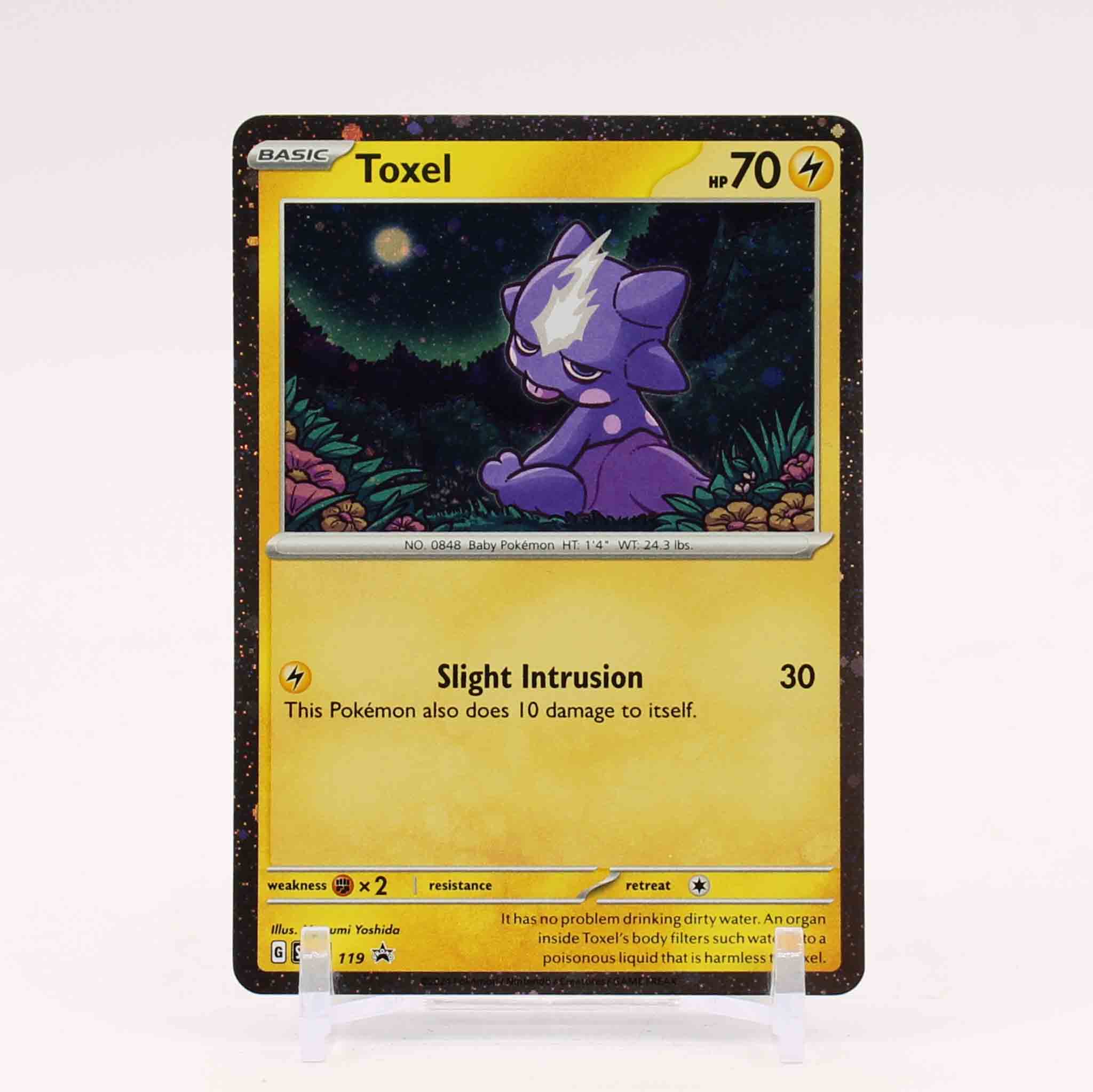 Toxel - SVP119 Black Star Promo Holo Pokemon - NM/MINT