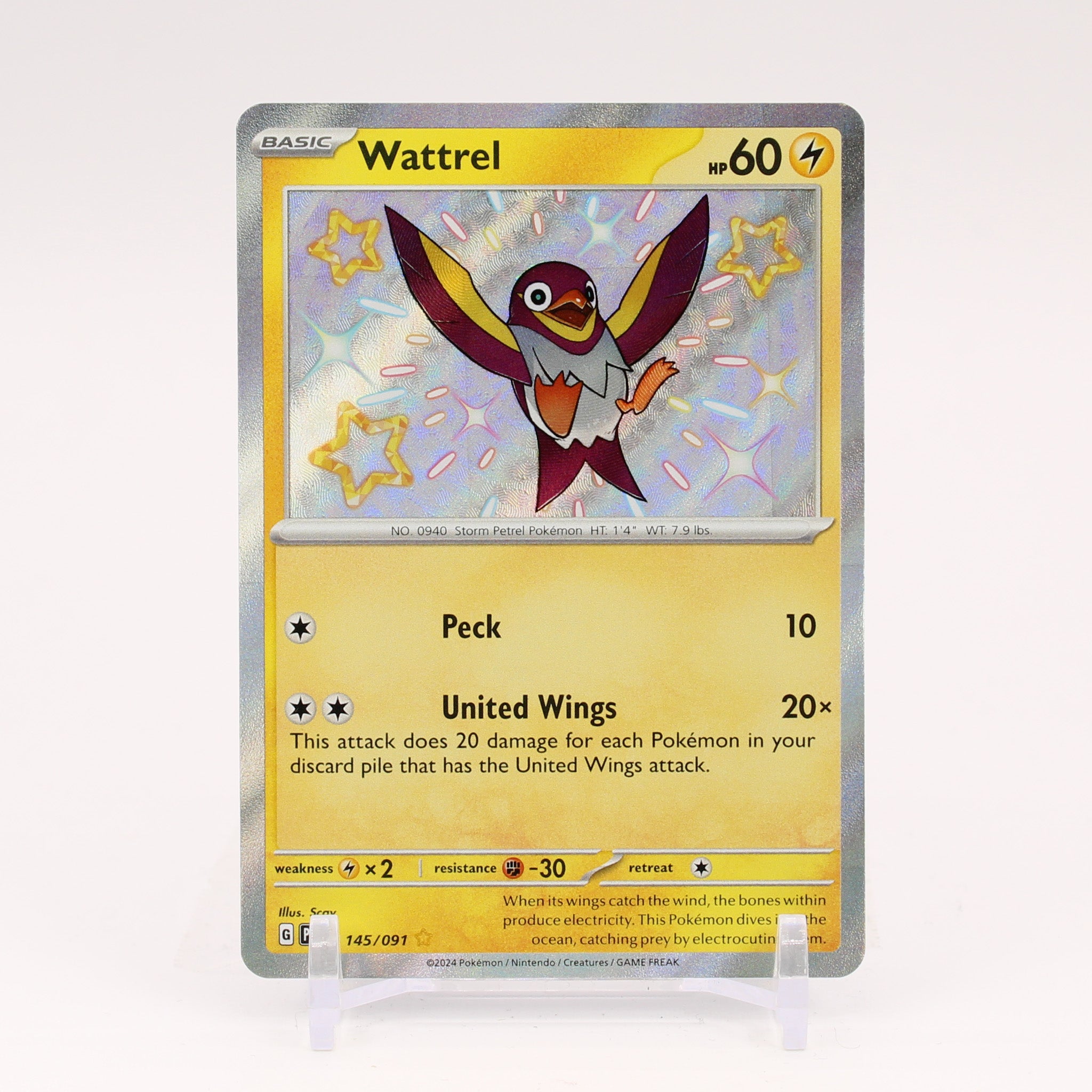 Wattrel - 145/091 Paldean Fates Baby Shiny Holo Rare Pokemon - NM/MINT