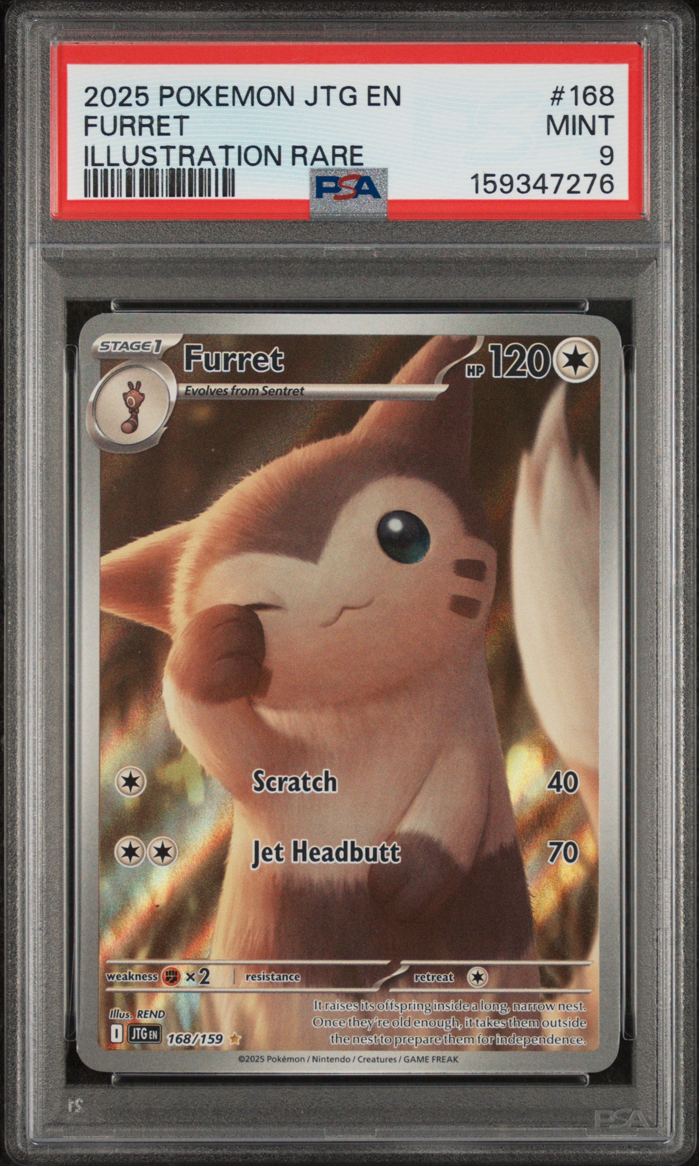 Furret - 168/159 PSA 9 Journey Together Illustration Rare Pokemon - MINT