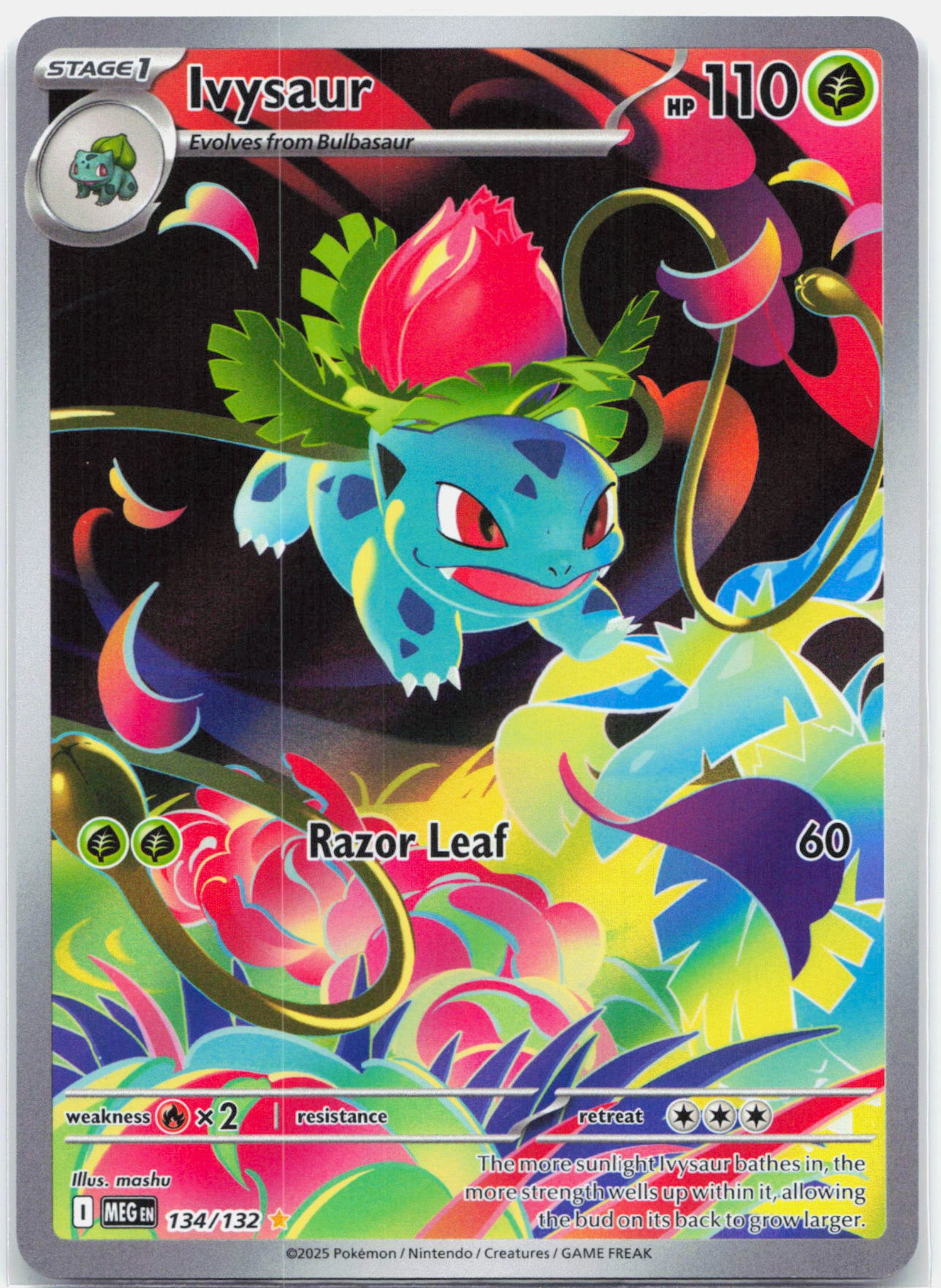 Ivysaur - 134/132 Mega Evolution Illustration Rare Pokemon - NM