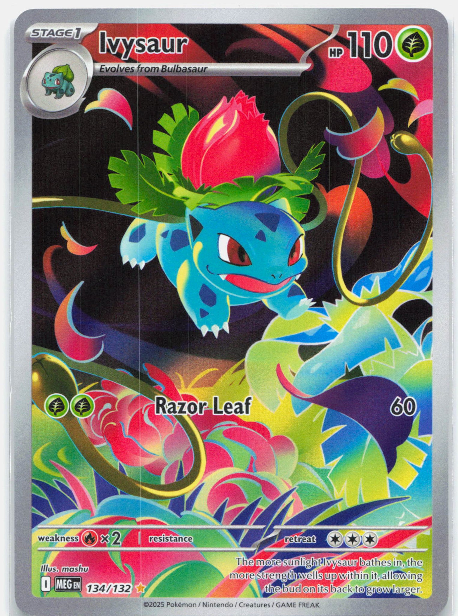 Ivysaur - 134/132 Mega Evolution Illustration Rare Pokemon - NM
