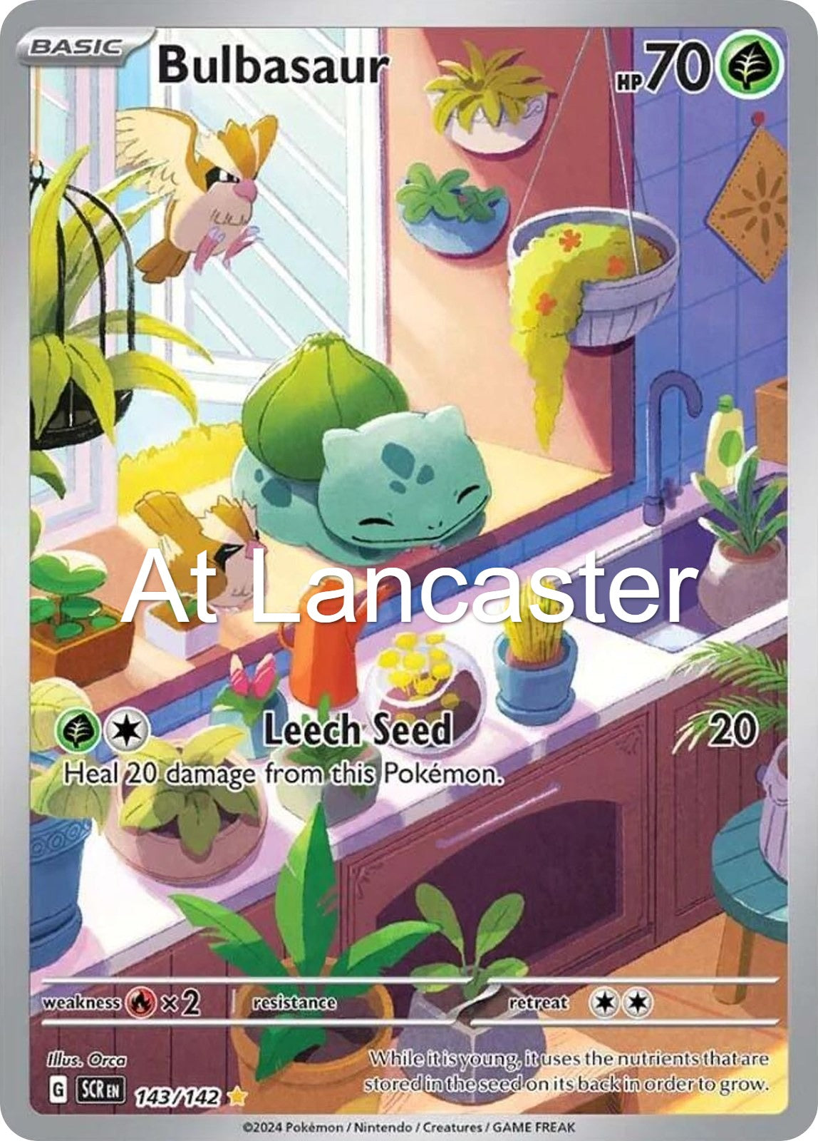 Bulbasaur - 143/142 Stellar Crown Illustration Rare Pokemon - NM (Lanc)