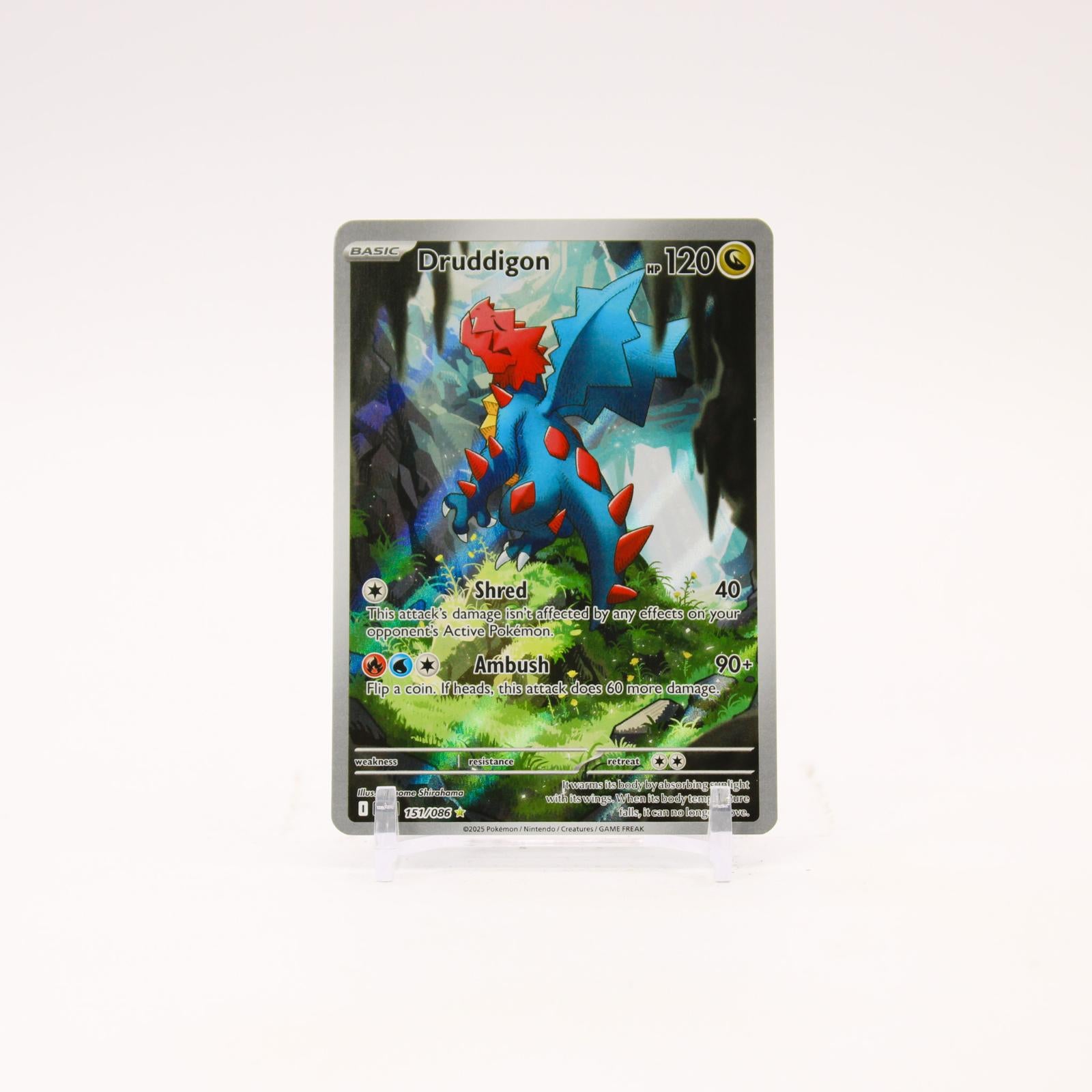 Druddigon - 151/086 White Flare Holo Illustration Rare Pokemon - NM