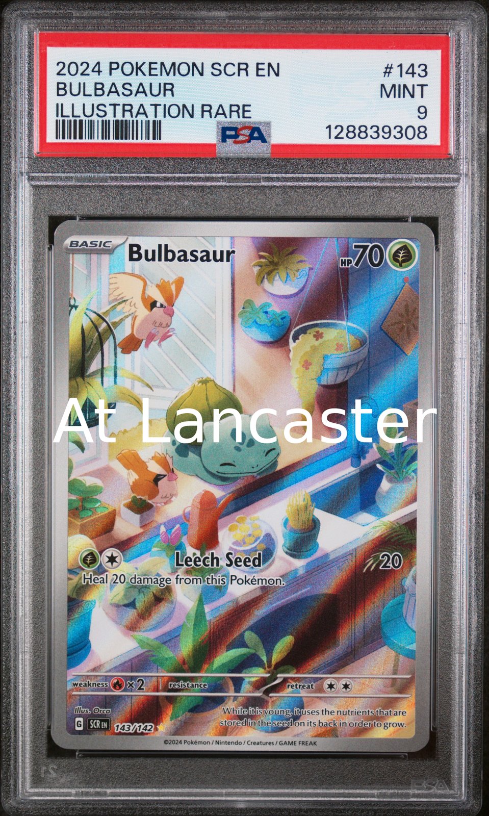 Bulbasaur - 143/142 PSA 9 Stellar Crown Illustration Rare Pokemon (Lanc)