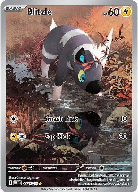 Blitzle - 114/086 White Flare Illustration Rare Pokemon - NM/MINT