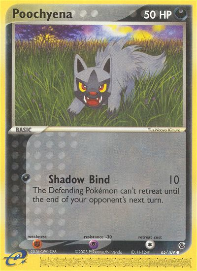 Poochyena - 65/109 Ruby & Sapphire Common Pokemon - NM