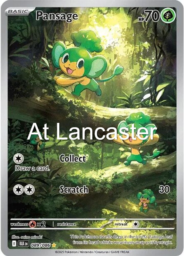 Pansage - 089/086 Black Bolt Holo Illustration Rare Pokemon - NM (Lanc)