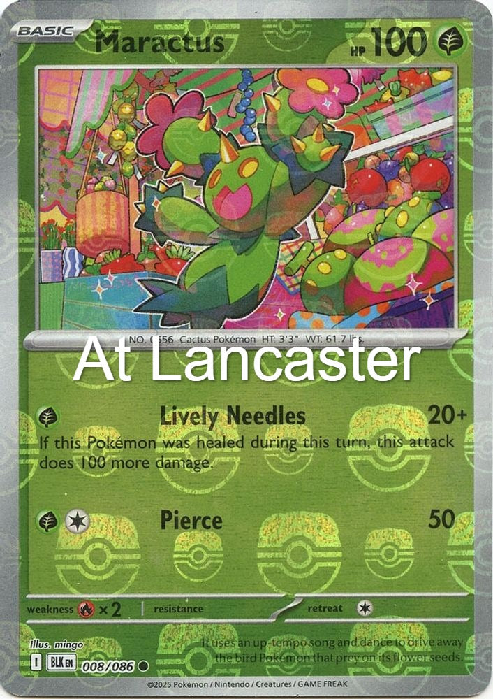 Maractus (Master Ball Pattern) - 008/086 Black Bolt Common Pokemon - NM (Lanc)