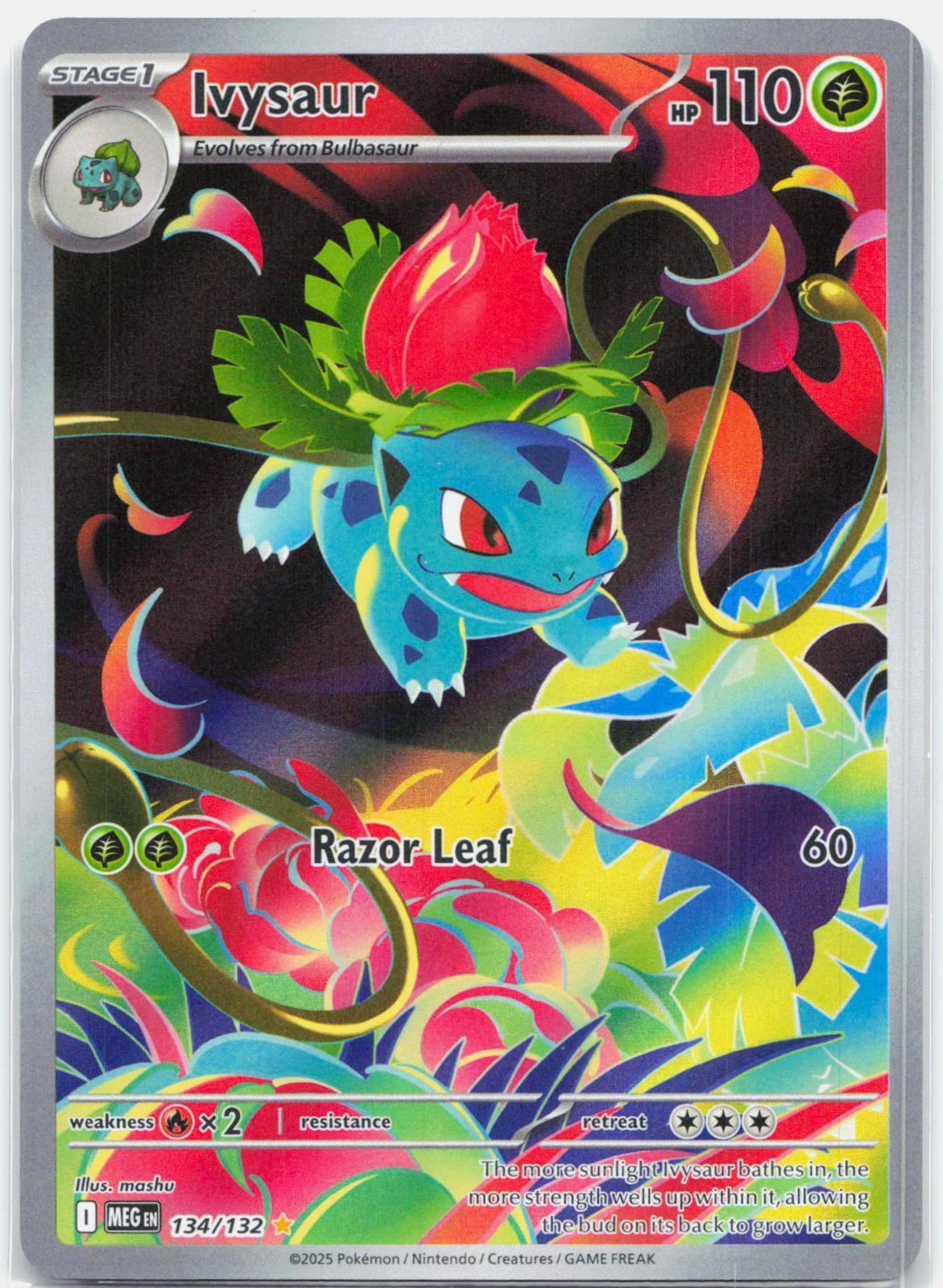 Ivysaur - 134/132 Mega Evolution Illustration Rare Pokemon - NM
