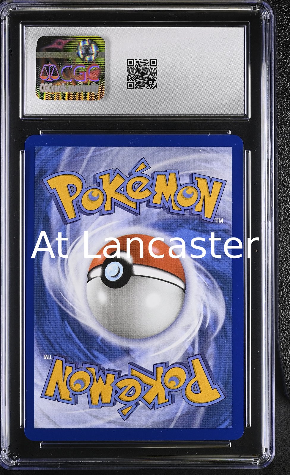Scorbunny - 225/217 CGC 10 Ascended Heroes Illustration Rare Holo Pokemon (Lanc)