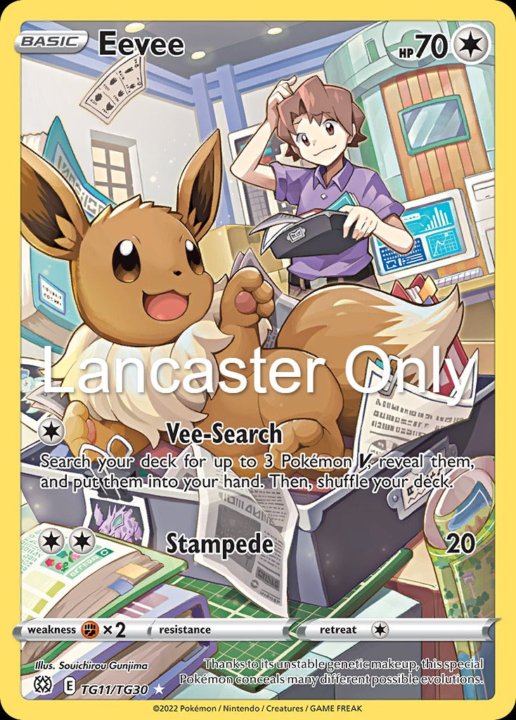 Eevee - TG11/TG30 Brilliant Stars Trainer Gallery Holo Trainer Gallery Rare Pokemon - NM (Lanc)
