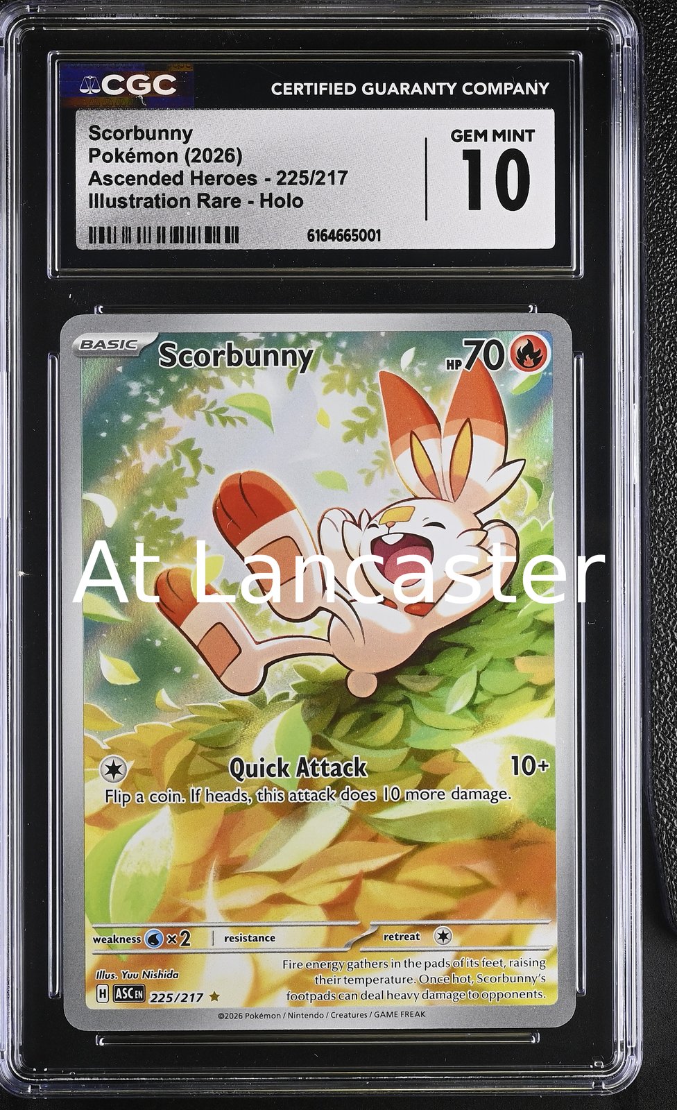 Scorbunny - 225/217 CGC 10 Ascended Heroes Illustration Rare Holo Pokemon (Lanc)