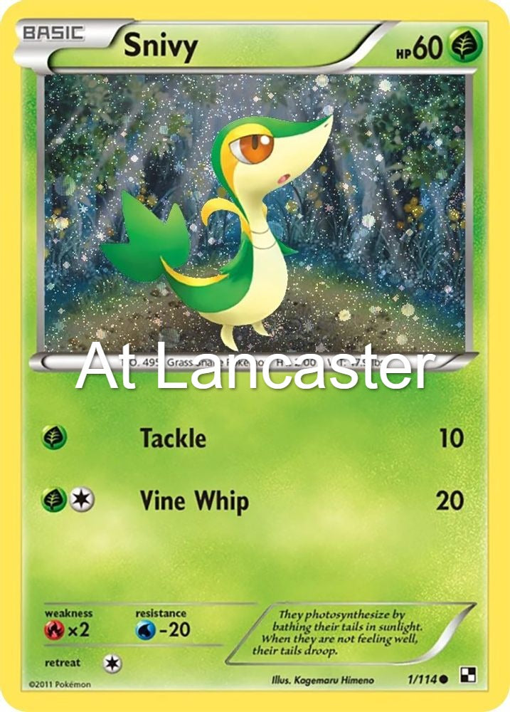 Snivy (Cosmos Holo) - 001/114 Miscellaneous Cards & Products Promo Pokemon - LP/MP (Lanc)