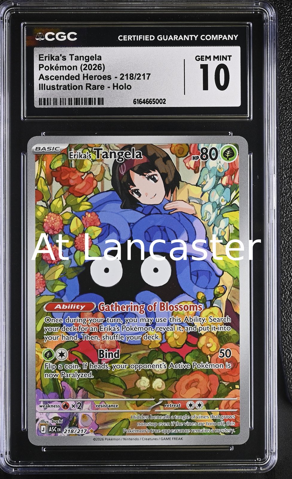Erika's Tangela - 218/217 CGC 10 Illustration Rare Holo Pokemon (Lanc)