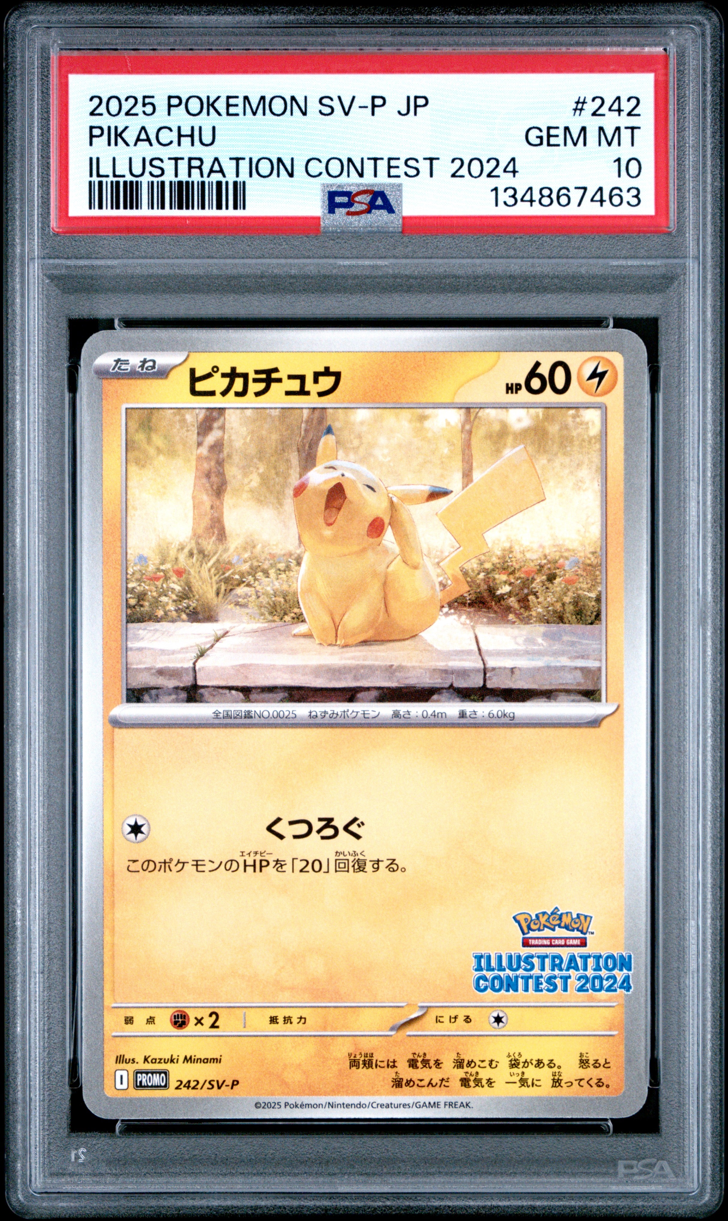 Pikachu - 242/SV-P PSA 10 Japanese Illustration Contest Promo Pokemon - GEM MINT