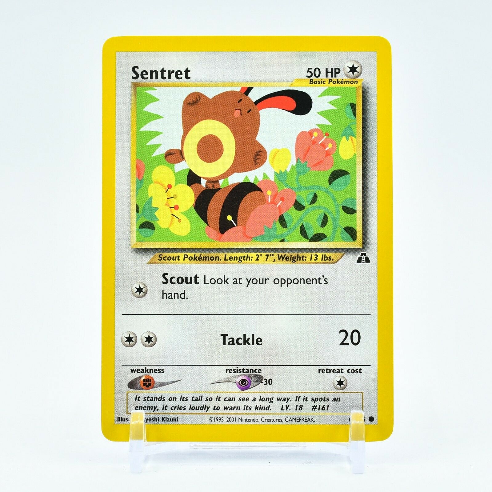 Sentret - 63/75 Neo Discovery Unlimited Common Pokemon - NM