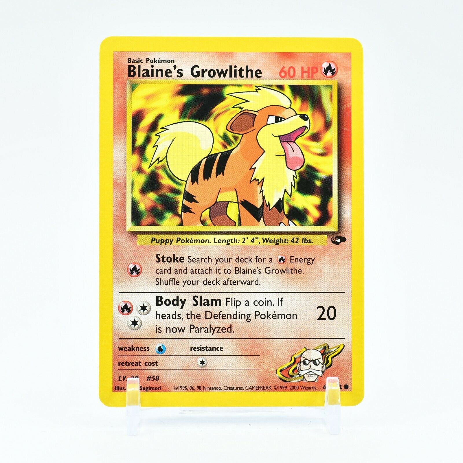 Blaine's Growlithe - 62/132 Gym Challenge Unlimited Common Pokemon - NM
