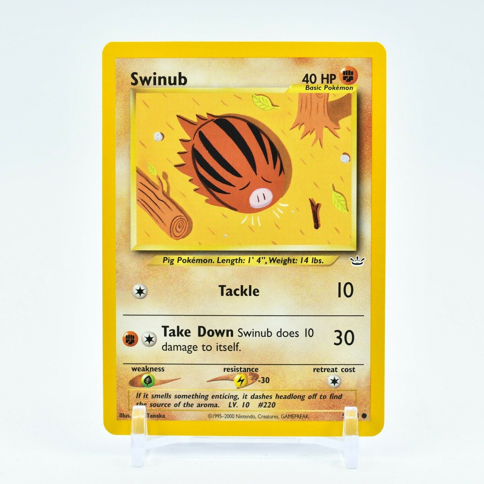 Swinub - 57/64 Neo Revelation Unlimited Common Pokemon - NM