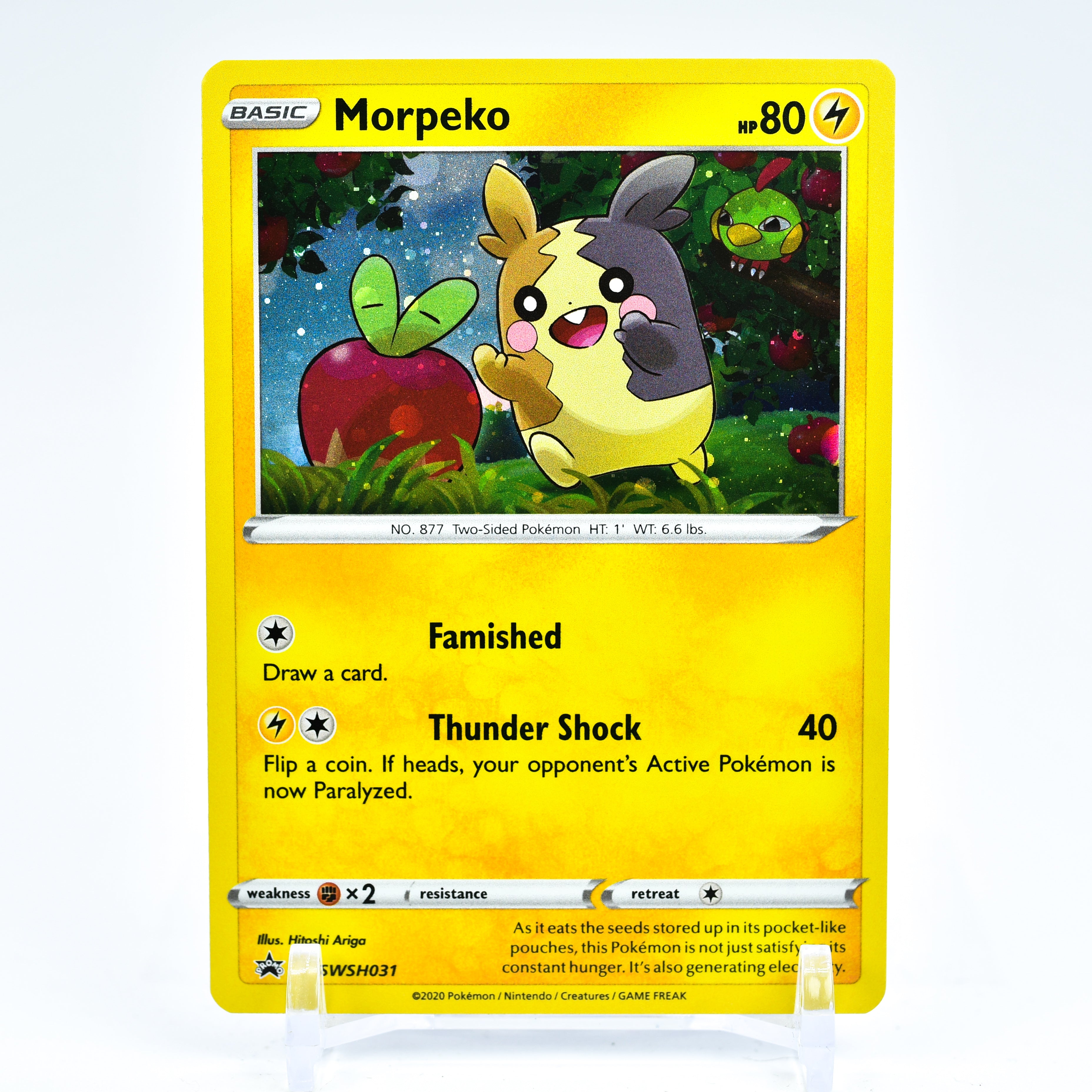 Morpeko - SWSH031 Black Star Promo Holo Pokemon - NM/MINT