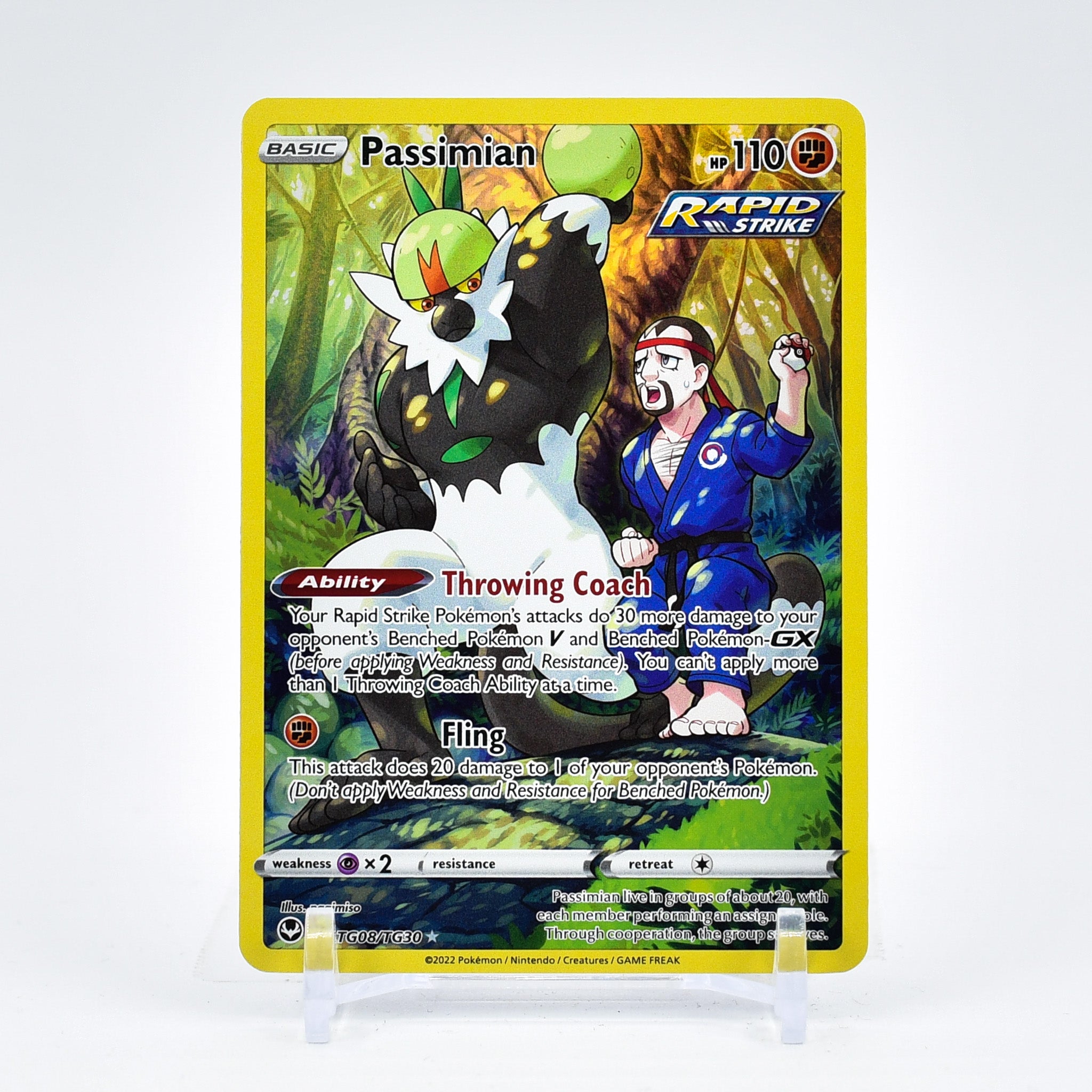 Passimian - TG08/TG30 Silver Tempest CHARACTER RARE Pokemon - NM/MINT