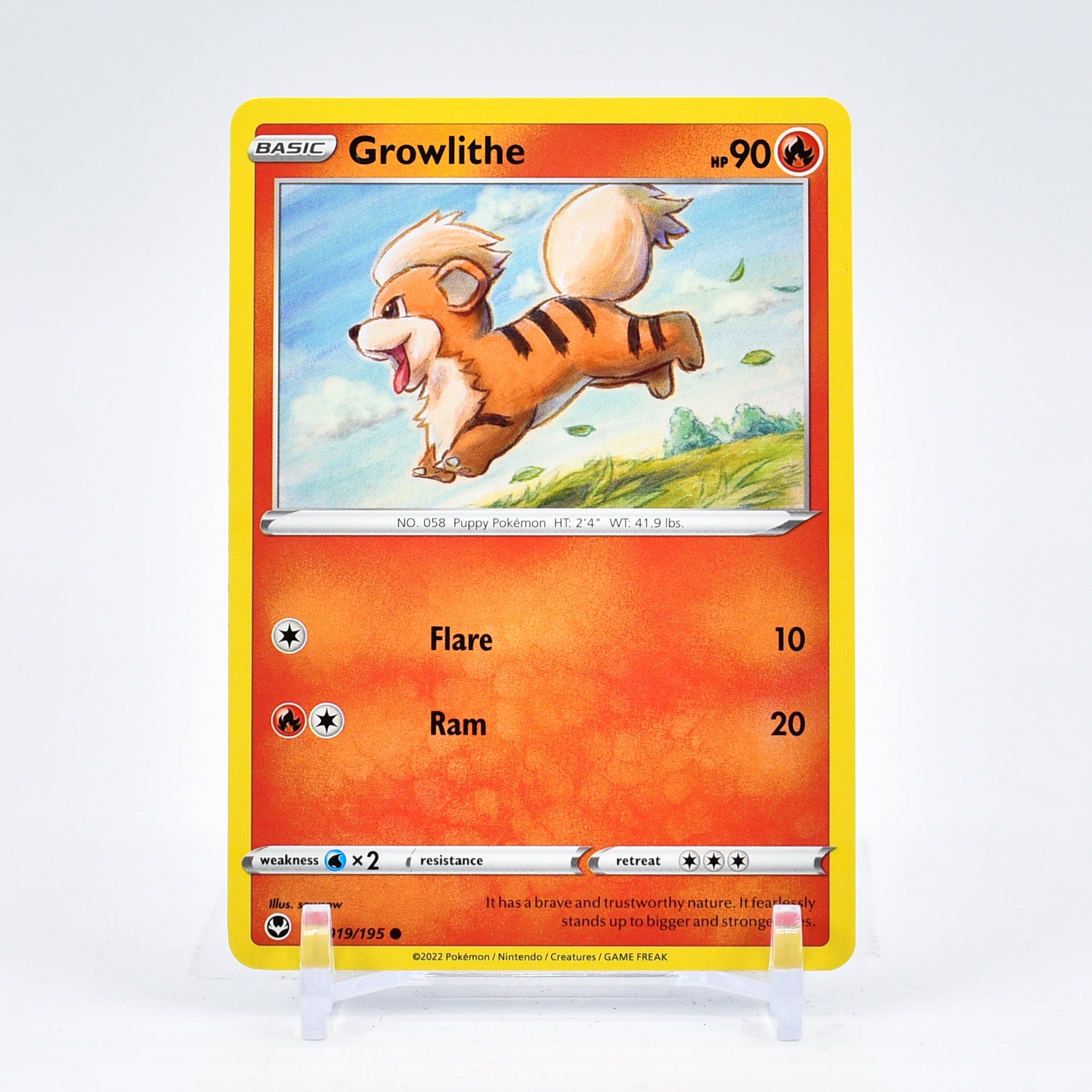 Growlithe - 019/195 Silver Tempest Common Pokemon - NM/MINT