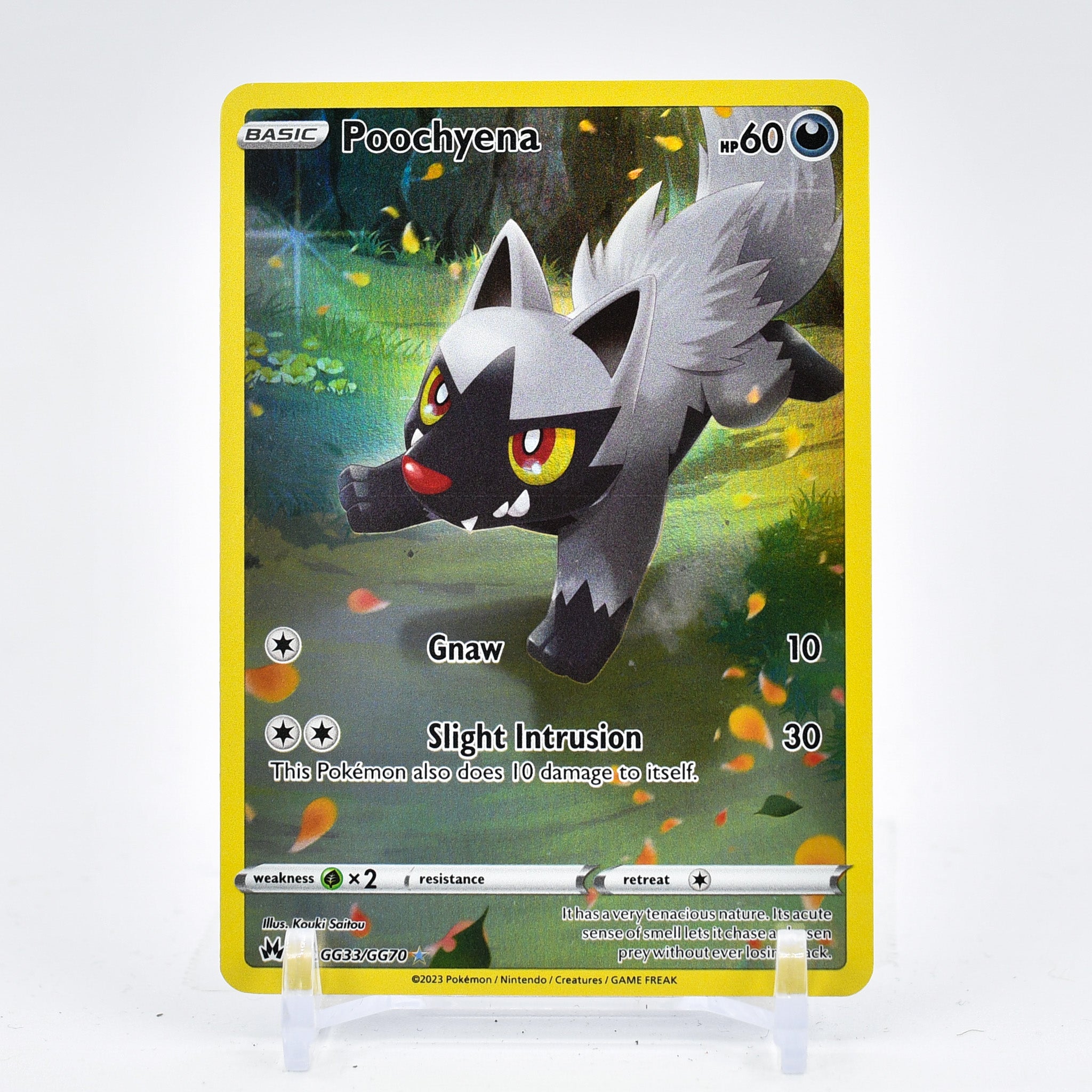 Poochyena - GG33/GG70 Crown Zenith GALARIAN GALLERY Pokemon - NM/MINT