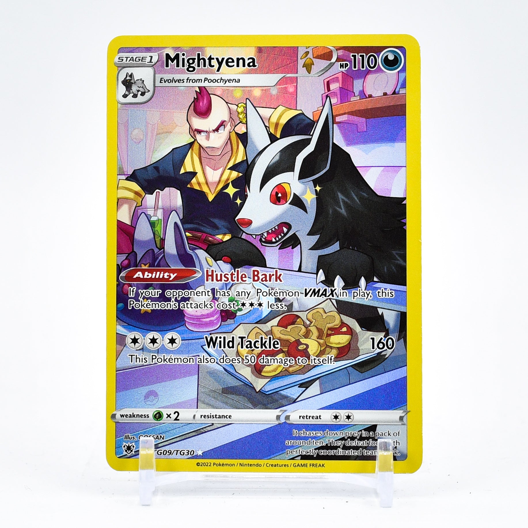 Mightyena - TG09/TG30 Astral Radiance CHARACTER RARE Pokemon - NM/MINT